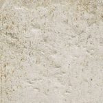 D'Anticatto Bianco 22.5x22.5 cm 1^Scelta Natucer